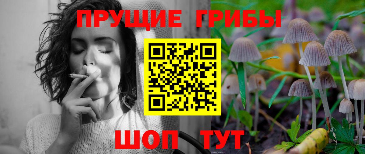 Псилоцибиновые грибы Psilocybe Омск
