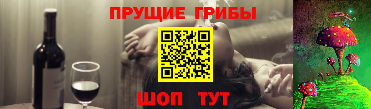Псилоцибиновые грибы прущие грибы  Вход с VPN  Псилоцибиновые грибы прущие грибы  Омск 